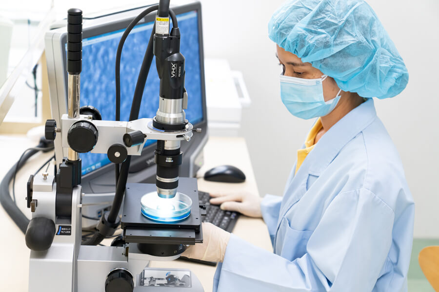 高精度実体顕微鏡：実体顕微鏡を用いたin vitro試験