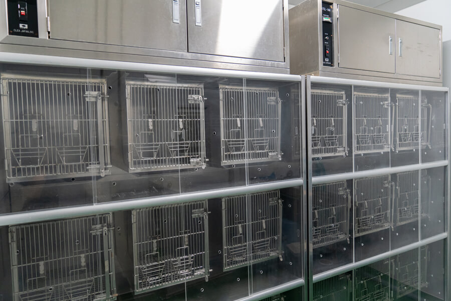SPF飼育室：SPF動物（マウス・ラット・ネコ）の飼育が可能